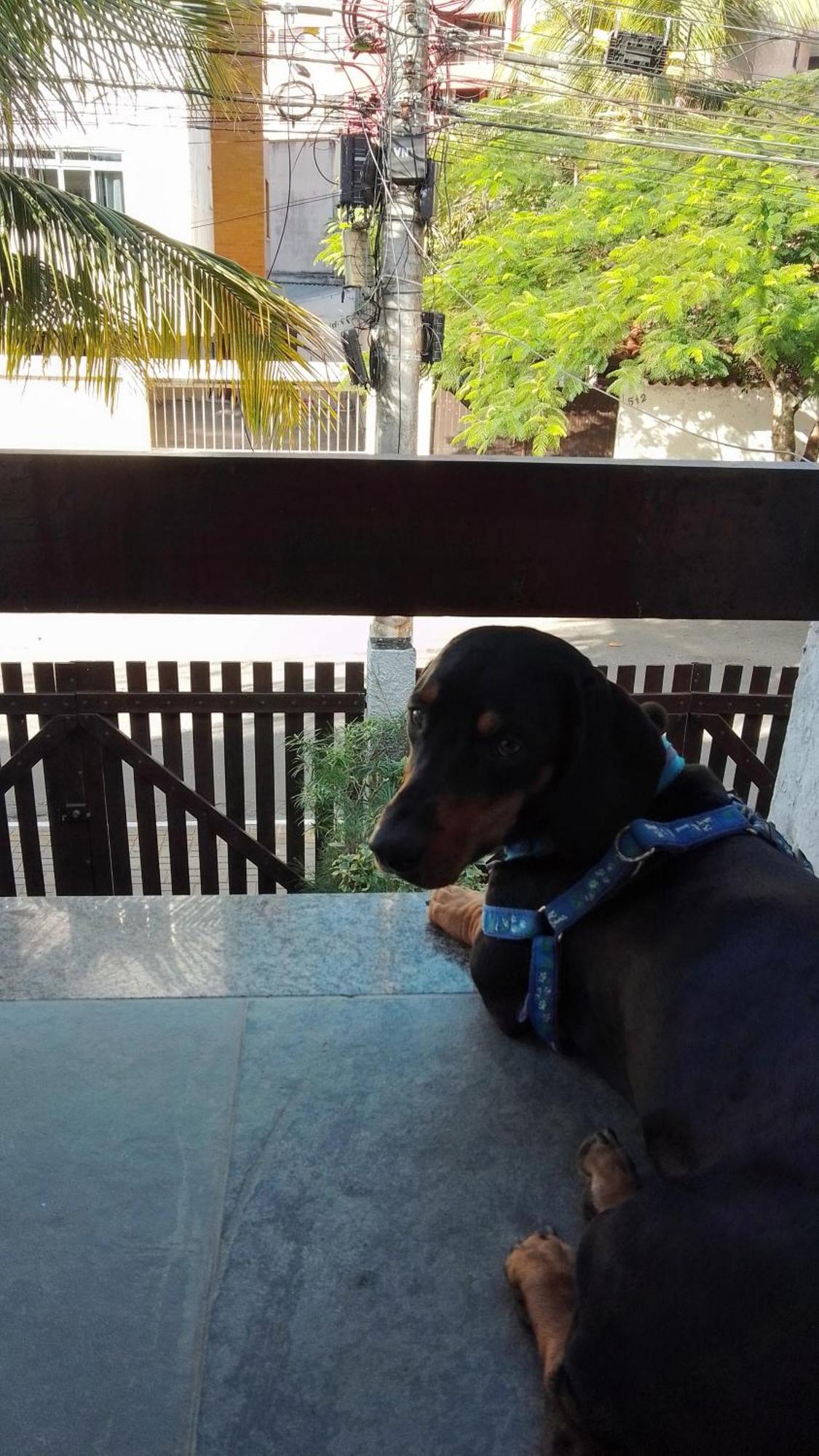 Casa Aconchegante 100M Da Praia Do Forte Cabo Frio Pokoj fotografie